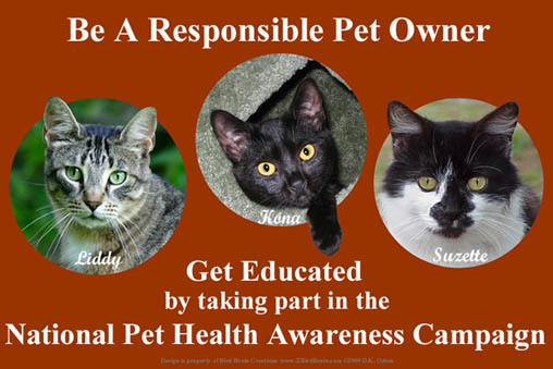 Pet Health Awareness!