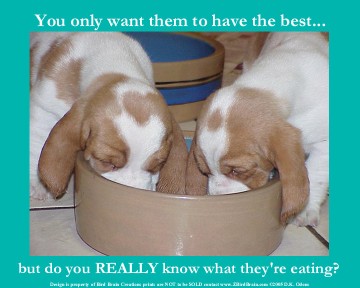 Dogs eating out of a bowl