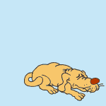 Dog dreaming